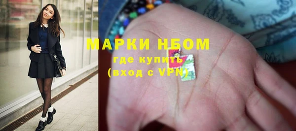 ГАЛЛЮЦИНОГЕННЫЕ ГРИБЫ Баксан