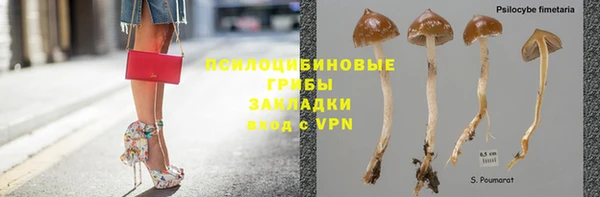 ГАЛЛЮЦИНОГЕННЫЕ ГРИБЫ Баксан