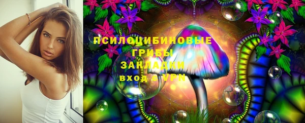 ГАЛЛЮЦИНОГЕННЫЕ ГРИБЫ Баксан